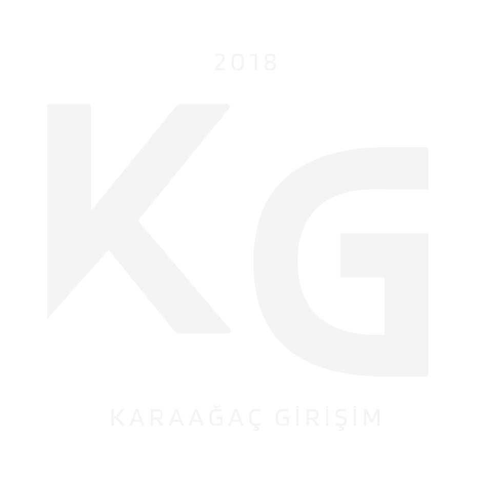 karaağaç girişim