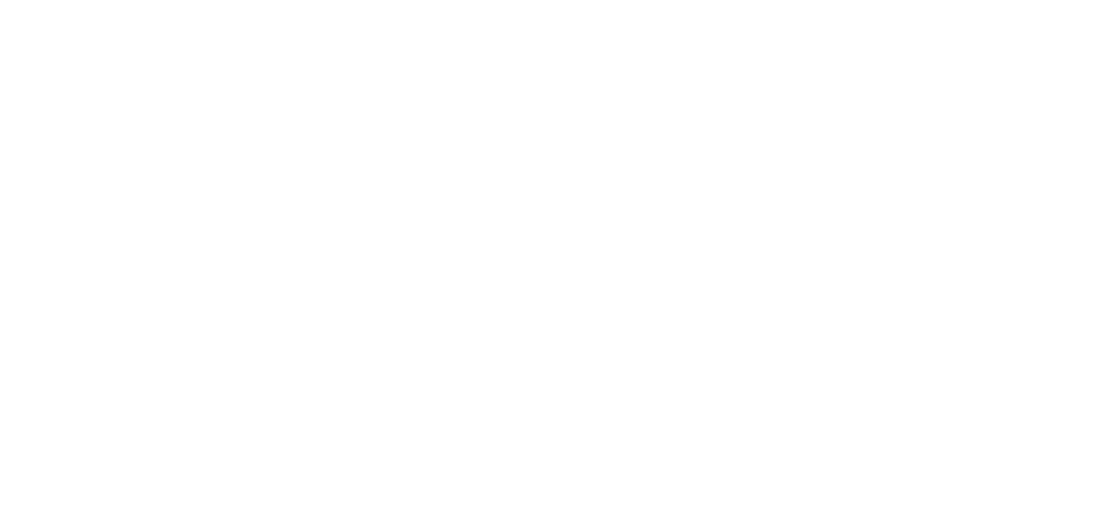 karaağaç girişim